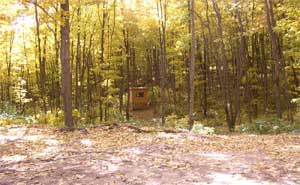 Perfect Hunting Conditions at Porcupine Lake Cottage Up North in Gaylord, Michigan