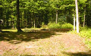 Campfire Area - Porcupine Lake Cottage Rental Available Year Round Up North in Gaylord, Michigan. Rent our cozy and clean cottage for the Weekend, Week, or more!