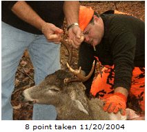 8 Point Buck Taken at Porcupine Lake Cottage Rental in Gaylord, Michigan on 40 acres is available for hunters, snowmobilers, weekend getaways, summer camping, and family vacations. The cozy and clean cottage is available to rent for the weekend, entire week, or monthly rates are available too! Call Brian or Donna Clark at (989) 614-0248