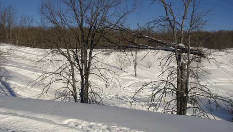 Perfect for Sledding and Snowmobiling in the Winter! Porcupine Lake Cottage Rental in Gaylord, Michigan on 40 acres is available for hunters, snowmobilers, weekend getaways, summer camping, and family vacations. The cozy and clean cottage is available to rent for the weekend, entire week, or monthly rates are available too! Call Brian or Donna Clark at (989) 614-0248